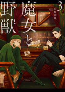 Cover of 魔女と野獣（３）.