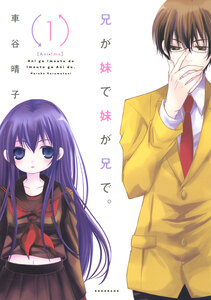 Cover of 兄が妹で妹が兄で。 volume 1.