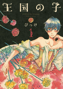 Cover of 王国の子 volume 1.